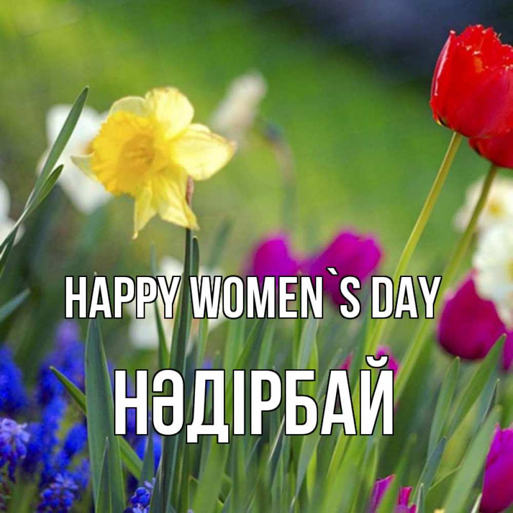 Greetings card с именем, НӘДІРБАЙ happy women`s day международный женский день 3 Greetings with text for free download 